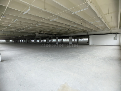 池州厂房出租全新厂房招租（办公楼、宿舍、餐厅可配套出租）
