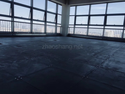 南京软件谷50-2000㎡可租售，政府政策