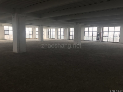 104板块高标准产研独栋