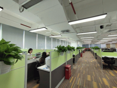 广东深圳南山区网红粤海街道 一手业主直租 2000平豪装带家私
