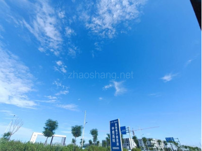 三水区厂房出售佛山三水区2200平米厂房出售 配电大 政府扶持 面积灵活 食宿齐全