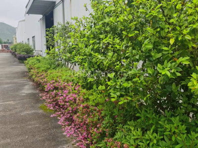 龙岩厂房出租出租花园式厂房面积3600平方 配套齐全
