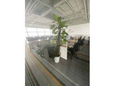 广州海珠区345平米写字楼出租 精装修 大开间 布局合理 一线江景