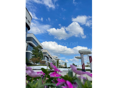 武汉江夏区480平米写字楼租售 布局合理 大开间 交通便利 优惠大促