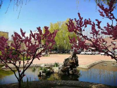 上海金山区12000平米厂房办公楼出租 年底特惠