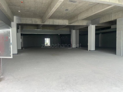 北仑区厂房出租未来产业园招商部 无中介费 一层4850平 总共4万方 欢迎咨询