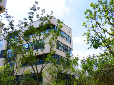 蜀山区 可租可售 独栋办公楼 四季花海旁 地铁口