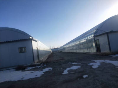 武威凉州区50000平米厂房出租