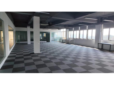 超长免租期 东湖高新技术开发区，32718平综合写字楼可分割