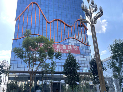 大关县厂房出租云南省昆明市呈贡区研发大楼220平起售可轻加工研发仓储办公