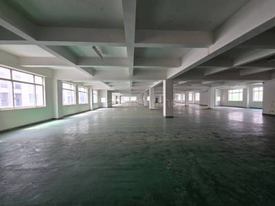 崇明区厂房出租松江区830平米厂房出租