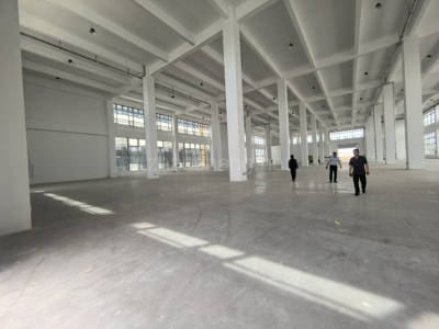 桃城区厂房出租邯郸大名县新建食品产业园出租